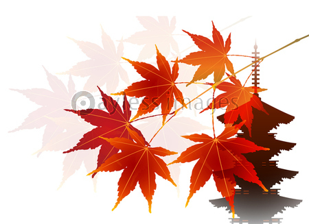 紅葉 秋 風景 背景 商用利用可能な写真素材 イラスト素材ならストックフォトの定額制ペイレスイメージズ