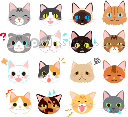 かわいい黒猫のポーズイラストセット 商用利用可能な写真素材 イラスト素材ならストックフォトの定額制ペイレスイメージズ