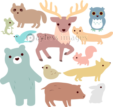 森の動物のイラストセット 商用利用可能な写真素材 イラスト素材ならストックフォトの定額制ペイレスイメージズ