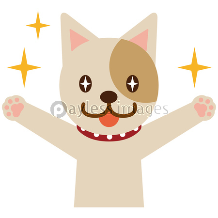 目を輝かせて喜ぶ犬 商用利用可能な写真素材 イラスト素材ならストックフォトの定額制ペイレスイメージズ