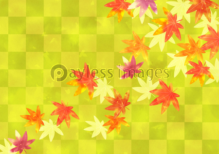 紅葉と市松模様の壁紙 ストックフォトの定額制ペイレスイメージズ