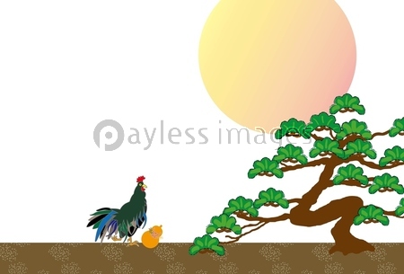酉年の鶏と松の木と日の出のイラスト年賀状テンプレート素材 ストックフォトの定額制ペイレスイメージズ