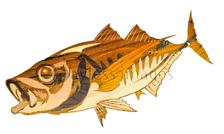 美しい花の画像 元のアジ イラスト