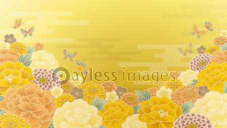 和柄 花 背景 商用利用可能な写真素材 イラスト素材ならストックフォトの定額制ペイレスイメージズ