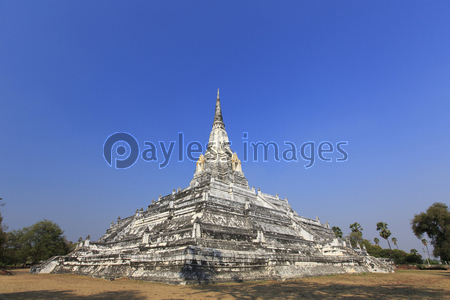 タイ国アユタヤの遺跡ワット・プーカオ・トーンと僧侶