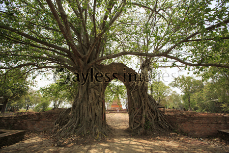 タイ国アユタヤ県の遺跡ワット・プラ・ガームの古い門