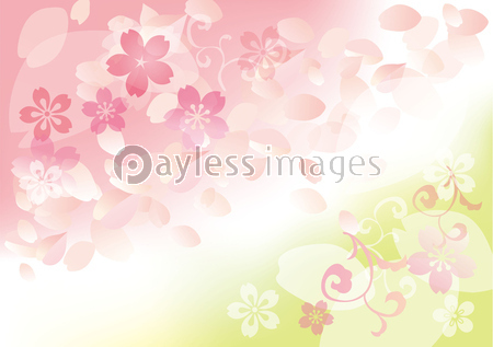 桜 ぼかしピンク 黄緑 ストックフォトの定額制ペイレスイメージズ