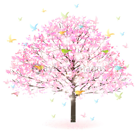 桜 鳥 春 アイコン 商用利用可能な写真素材 イラスト素材ならストックフォトの定額制ペイレスイメージズ