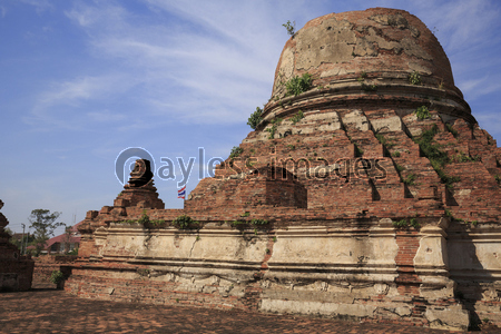 アユタヤ遺跡ワット・クディーダーオ