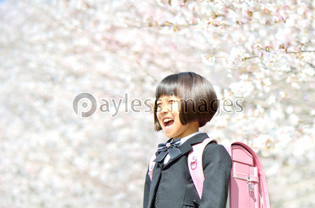 新一年生の女の子 桜 ストックフォトの定額制ペイレスイメージズ