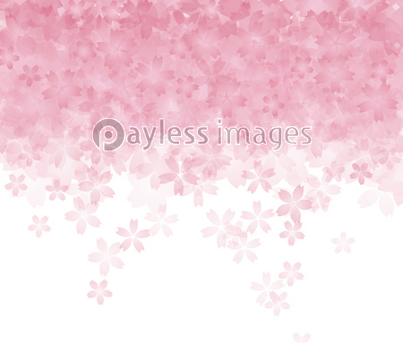満開の桜の背景イラスト 薄ピンク色 商用利用可能な写真素材 イラスト素材ならストックフォトの定額制ペイレスイメージズ