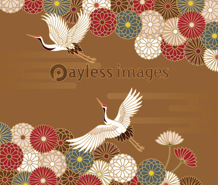 菊と鶴の伝統的な和柄 商用利用可能な写真素材 イラスト素材ならストックフォトの定額制ペイレスイメージズ