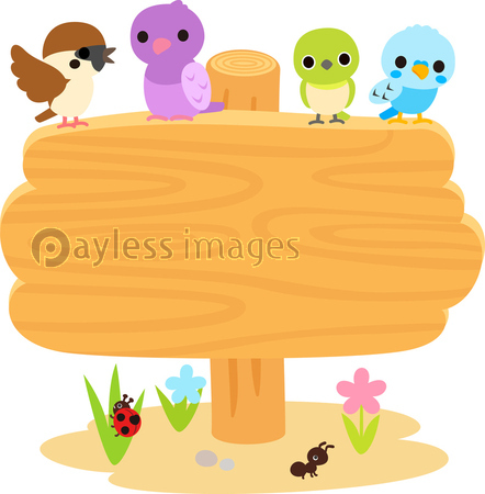 木の立て札と小鳥 ストックフォトの定額制ペイレスイメージズ