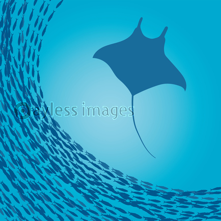 魚群 ストックフォトの定額制ペイレスイメージズ