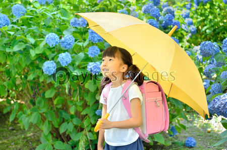 傘をさす小学生の女の子 梅雨 商用利用可能な写真素材 イラスト素材ならストックフォトの定額制ペイレスイメージズ