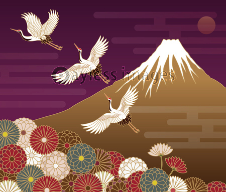 菊と鶴の伝統的な和柄 商用利用可能な写真素材 イラスト素材ならストックフォトの定額制ペイレスイメージズ