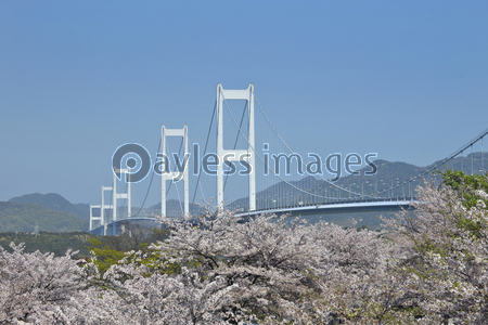 しまなみ海道 商用利用可能な写真素材 イラスト素材ならストックフォトの定額制ペイレスイメージズ