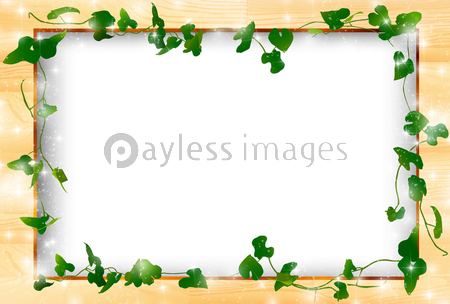 新緑 葉 木 フレーム 商用利用可能な写真素材 イラスト素材ならストックフォトの定額制ペイレスイメージズ