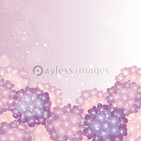 紫陽花 背景 イラスト 商用利用可能な写真素材 イラスト素材ならストックフォトの定額制ペイレスイメージズ