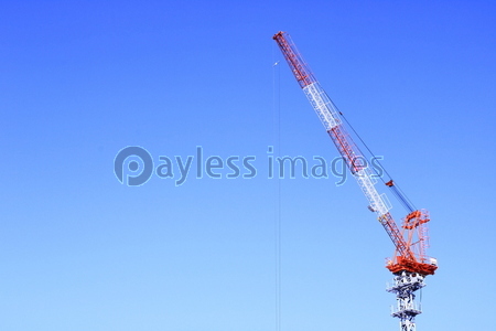 ������졼����Ķ�