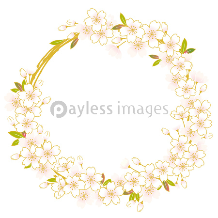 桜のリース イラスト 商用利用可能な写真素材 イラスト素材ならストックフォトの定額制ペイレスイメージズ