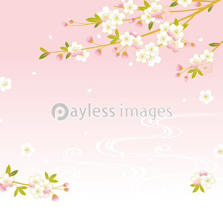 ベスト50 背景 しだれ 桜 イラスト イラスト画像