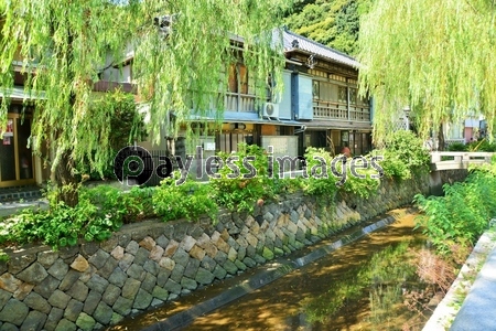 ��Ʀ���ĥڥ꡼������