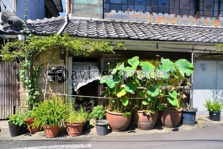 ��Ʀ���ĥڥ꡼������