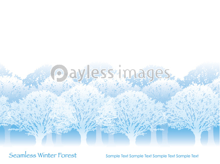 シームレスな四季の森 冬 商用利用可能な写真素材 イラスト素材ならストックフォトの定額制ペイレスイメージズ