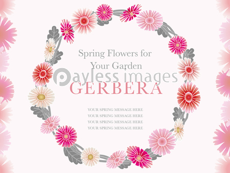 春の花のフレーム ガーベラ 商用利用可能な写真素材 イラスト素材ならストックフォトの定額制ペイレスイメージズ
