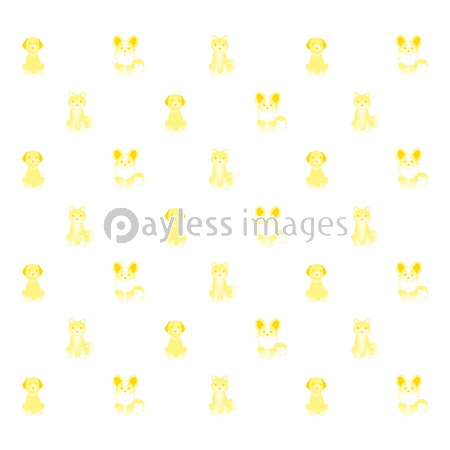 犬 壁紙 黄色 商用利用可能な写真素材 イラスト素材ならストックフォトの定額制ペイレスイメージズ