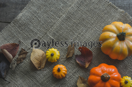 秋の収穫祭ハロウィン ストックフォトの定額制ペイレスイメージズ