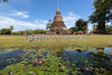 タイ国スコータイの遺跡と蓮の池