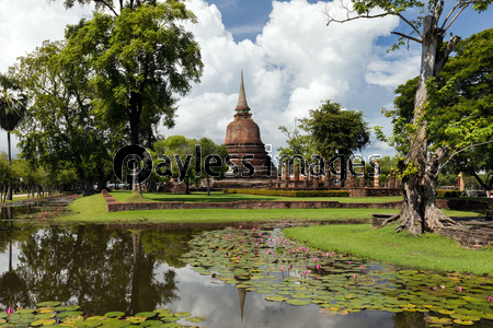 タイ国スコータイの遺跡と蓮の池