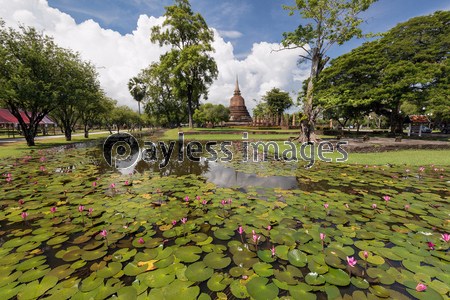 タイ国スコータイの遺跡と蓮の池