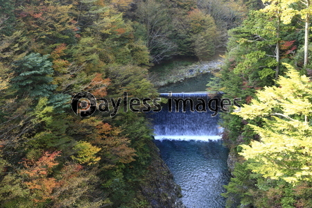 ���դ�����ë