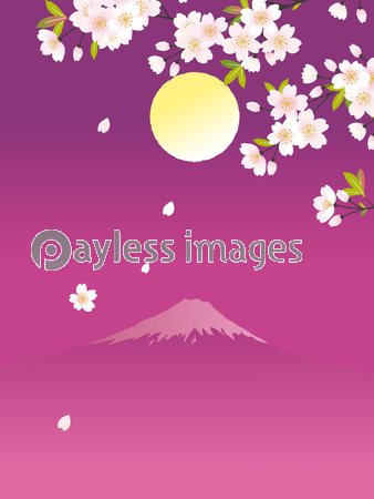 夜桜と富士山 イラスト 商用利用可能な写真素材 イラスト素材ならストックフォトの定額制ペイレスイメージズ