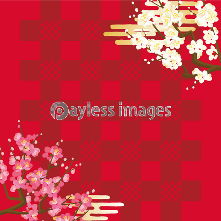 梅 背景イラスト 商用利用可能な写真素材 イラスト素材ならストックフォトの定額制ペイレスイメージズ