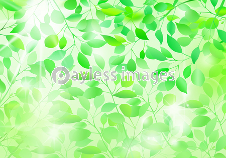 新緑 木漏れ日 背景 商用利用可能な写真素材 イラスト素材ならストックフォトの定額制ペイレスイメージズ