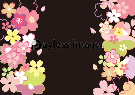 桜和柄 かわいい色 ストックフォトの定額制ペイレスイメージズ
