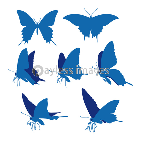 アゲハ蝶のシルエットイラスト 商用利用可能な写真素材 イラスト素材ならストックフォトの定額制ペイレスイメージズ