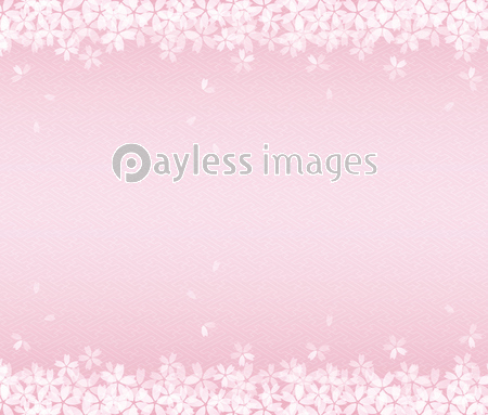 桜の和風背景イラスト 桜吹雪 商用利用可能な写真素材 イラスト素材ならストックフォトの定額制ペイレスイメージズ
