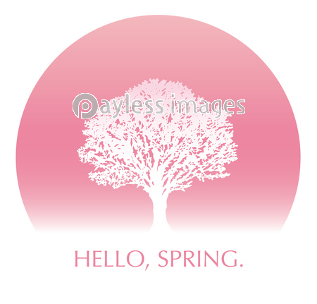 満開の桜の木の背景 商用利用可能な写真素材 イラスト素材ならストックフォトの定額制ペイレスイメージズ