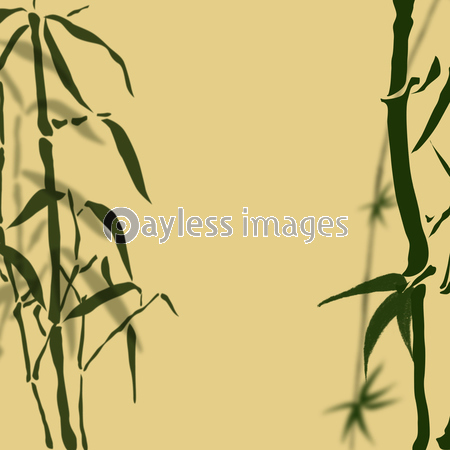 竹 和柄 たけ 和風 日本 和紙 和風メージ 商用利用可能な写真素材 イラスト素材ならストックフォトの定額制ペイレスイメージズ