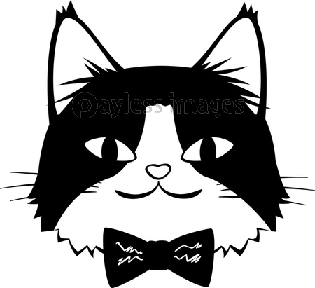 蝶ネクタイをした猫の顔 モノクロ 商用利用可能な写真素材 イラスト素材ならストックフォトの定額制ペイレスイメージズ