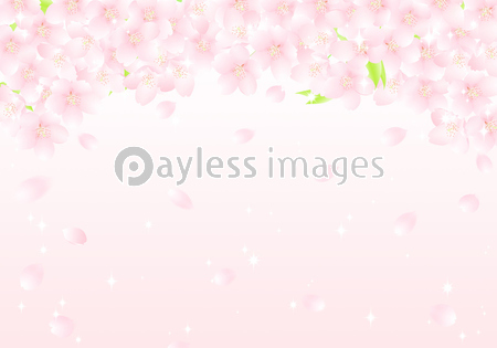 サクラの花のアーチ キラキラ イラスト 商用利用可能な写真素材 イラスト素材ならストックフォトの定額制ペイレスイメージズ