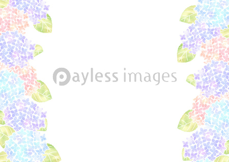 50 紫陽花 壁紙 イラスト 最高の花の画像