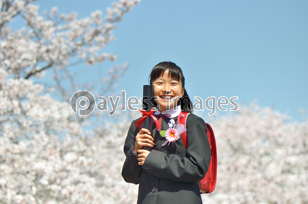 新一年生の女の子 桜 ストックフォトの定額制ペイレスイメージズ