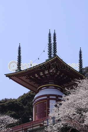 �������Ⱥ�