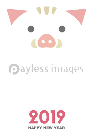 亥年 シンプルでかわいい猪の年賀状イラストの写真 イラスト素材